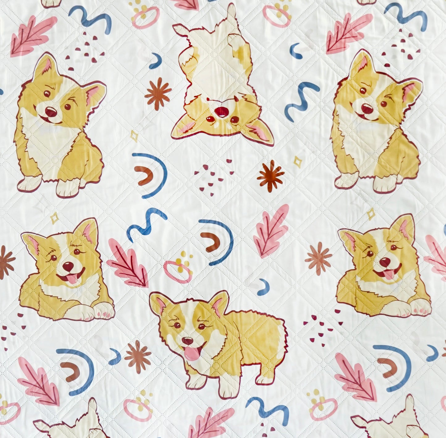 Picnic / Beach Blanket