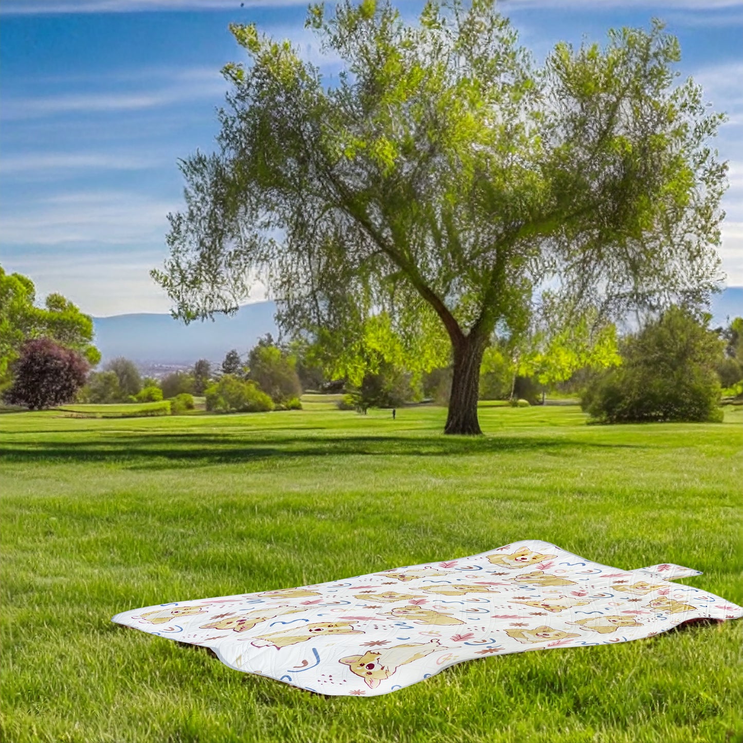 Picnic / Beach Blanket